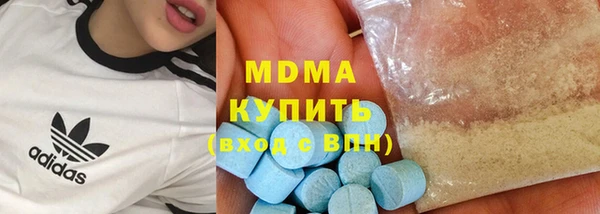 spice Богородицк