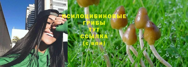 прущая мука Арсеньев