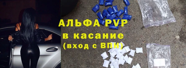 spice Богородицк