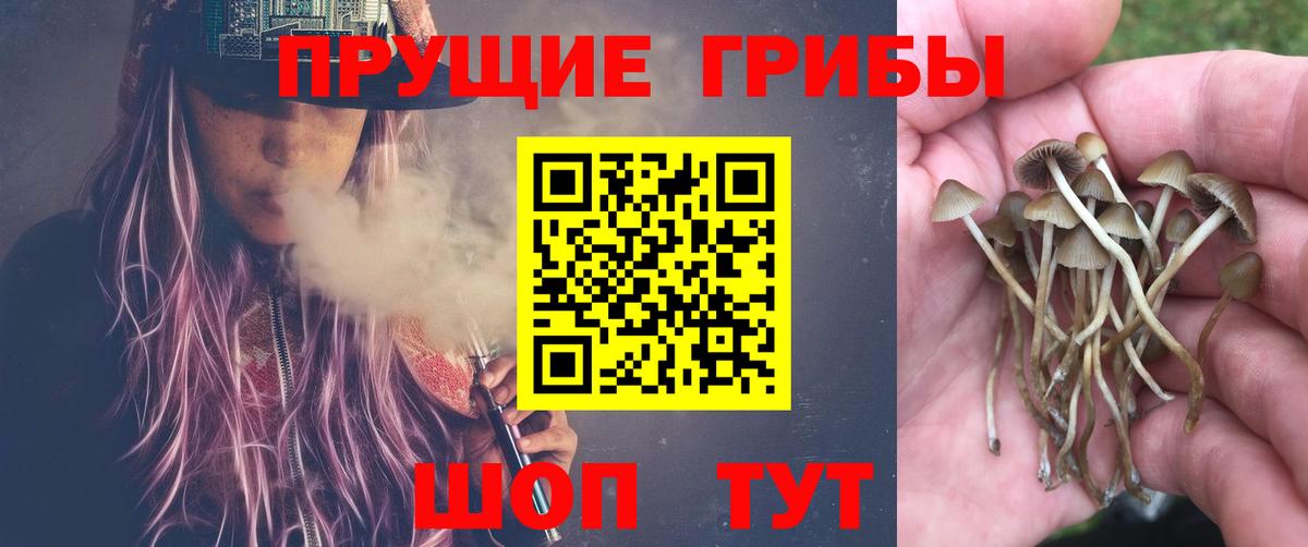 Псилоцибиновые грибы Psilocybe  Псилоцибиновые грибы мухоморы  Вход с VPN  даркнет сайт  Невинномысск 