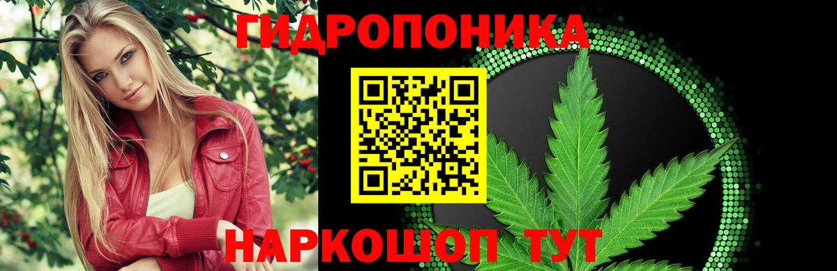Бошки марихуана план  Шишки марихуана Bruce Banner  Невинномысск  Вход с VPN  Марихуана AK-47 